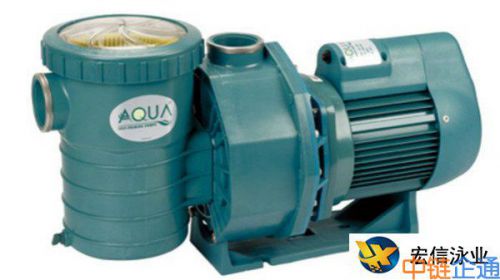 泳池水泵