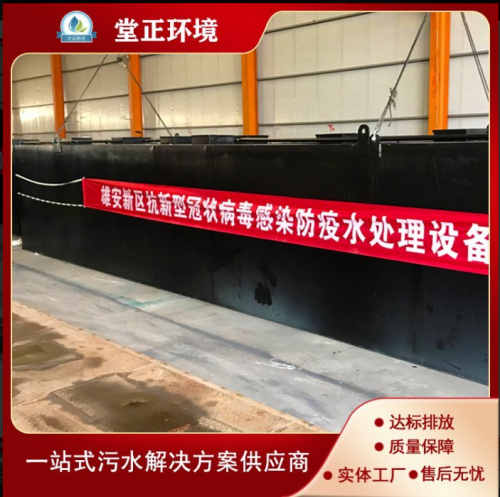 河道治理污水处理设备 生活工业人工自然户景观水一体化废水处理系统 堂正环境