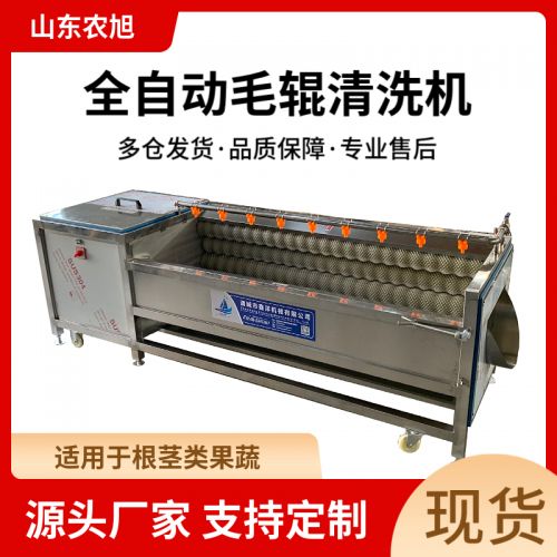 土豆清洗脱皮机 地瓜清洗去皮机 毛辊清洗抛光机 莲藕洋葱脱皮清洗机
