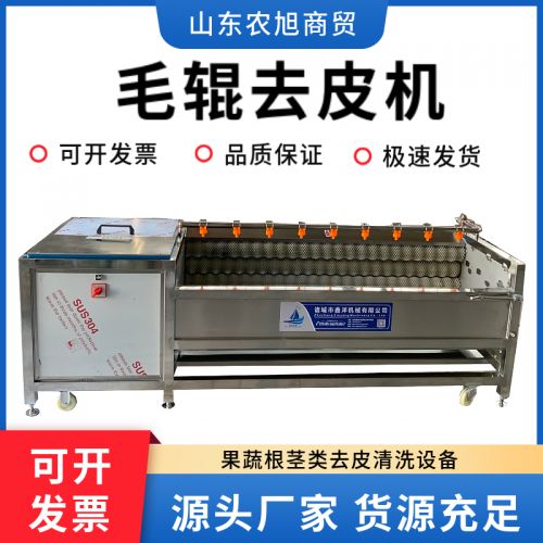 毛辊清洗机 土豆生姜洋姜清洗脱皮机 猪头猪耳朵清洗设备坚固耐用