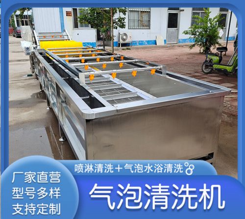 果蔬气泡清洗机 蕨菜荠菜清洗设备 预制菜加工设备 多功能商用洗菜机
