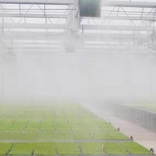 温室大棚自动喷淋系统 果蔬花卉喷雾降温加湿打药设备