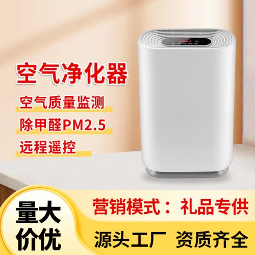 负离子空气净化消毒机家用室内除甲醛烟味除尘PM2.5 电商礼品批发