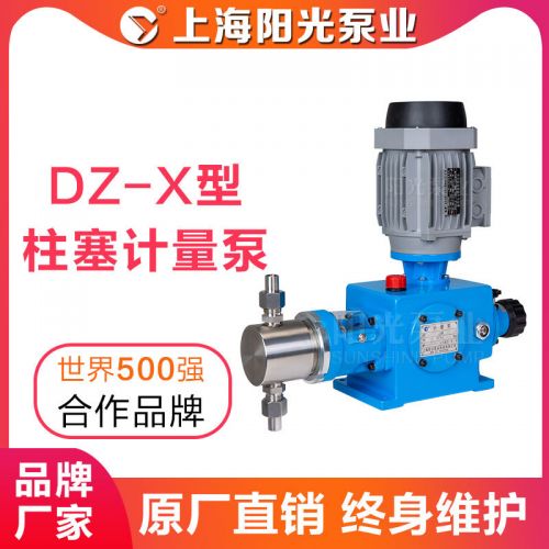 【定制】DZ-X型柱塞式计量泵不锈钢柱塞计量泵可定做