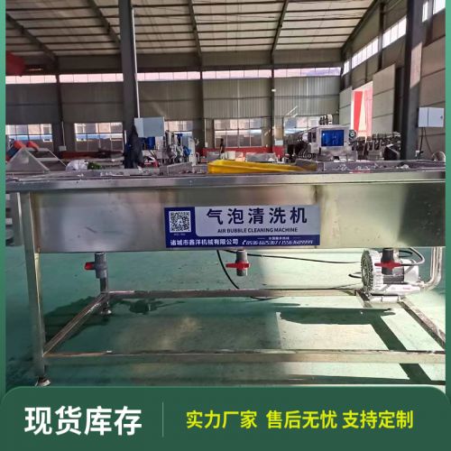 餐厅食堂饭店小型气泡清洗机土豆胡萝卜蔬菜洗菜池