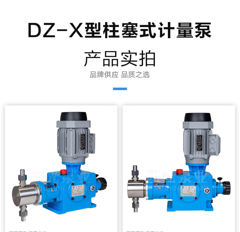 详情页DZ-X型柱塞式计量泵_02.jpg