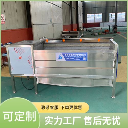 不锈钢土豆毛辊去皮清洗机 根茎类清洗设备 现货