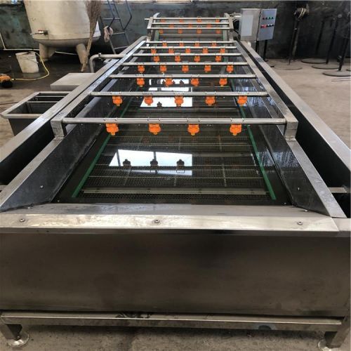 全自动果蔬气泡清洗机 葡萄干清洗风干流水线