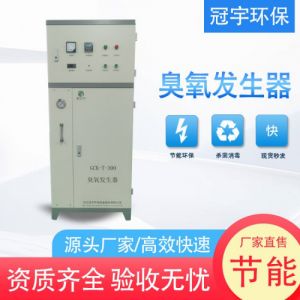 河北冠宇环保设备股份有限公司空气源臭氧发生器500g/h用于制药存储车间厂家直销 可定制