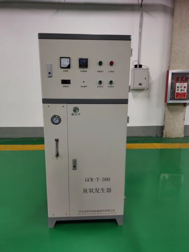 氧气源臭氧发生器泳池水选配公斤级臭氧消毒装置冠宇厂家直销定制