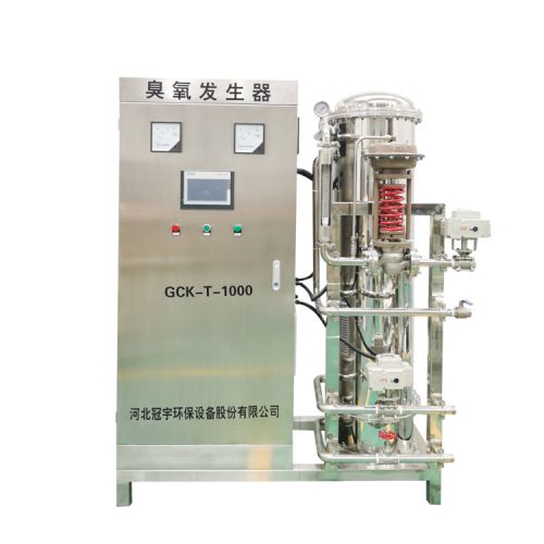 供大克数臭氧发生器自带制氧机风冷定制直销