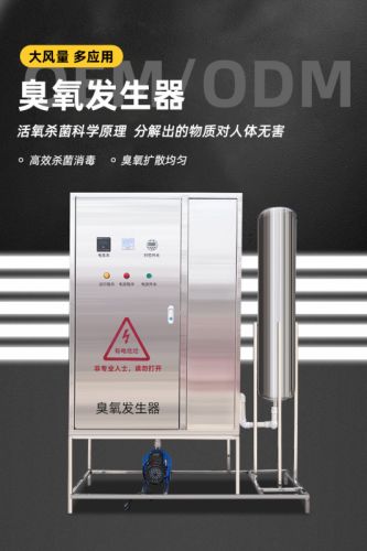 大型臭氧发生器高浓度消毒机空气源氧气源水处理工业水产 养殖食品