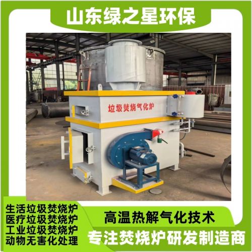 方舱医院垃圾焚烧炉 隔离点生活垃圾处理小型医疗废物焚烧炉