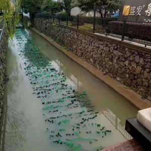 杭州梓景生态人工水草 生态污水处理生态基 款式多样支持批发