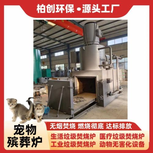宠物殡葬炉 高温热解气化炉动物尸体火化炉厂家