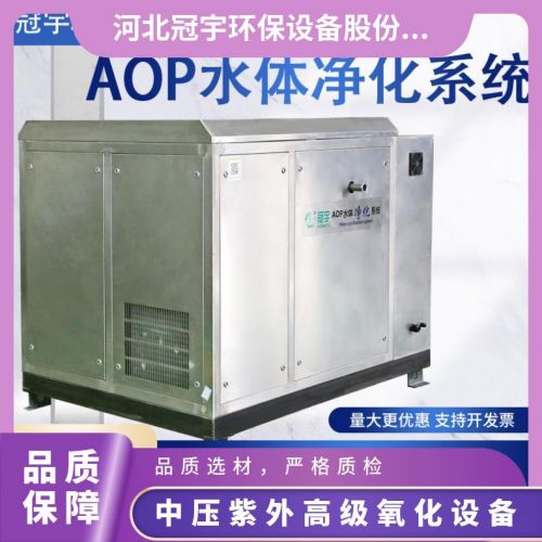 UV-AOP型号中压紫外 氧化设备海水压载水处理选型高强度紫外线