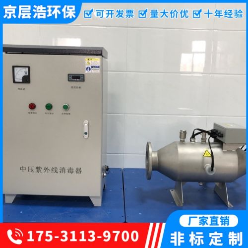 泳池 SPA 学校水处理中压紫外线消毒器 多年经验 持久耐用
