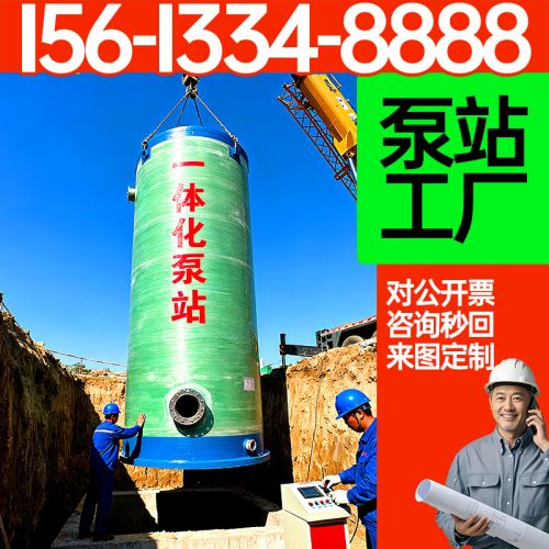 一体化泵站 广场排水地埋式一体化泵站 精细服务