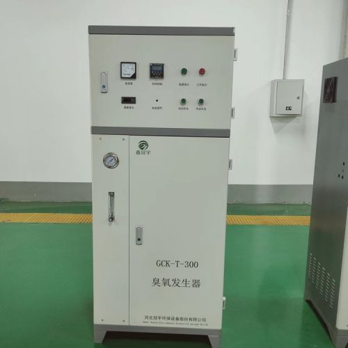 小型水处理臭氧发生器设备50g空气源 冠宇厂家可订制