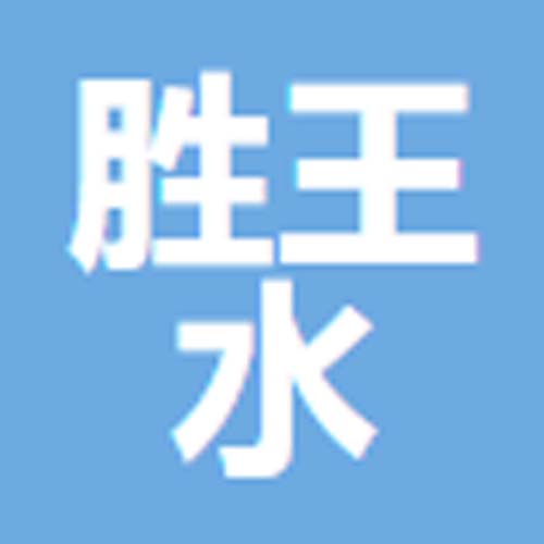 山东胜王水处理设备有限公司