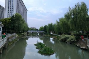 8913.3万！广州市南沙区城镇污水处理厂污泥处理处置项目(2024-2027年)招标
