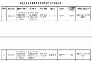 嘉戎技术公布使用暂时闲置募集资金进行现金管理的进展