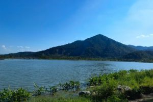 4.75亿！河北固安县城区污水处理厂运营权(含资产)拍卖结果