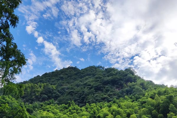 中央第三生态环境保护督察组向山东省交办第二十四批群众信访举报件情况