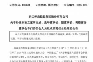 董事长换人！又一光伏上市公司高层大换血