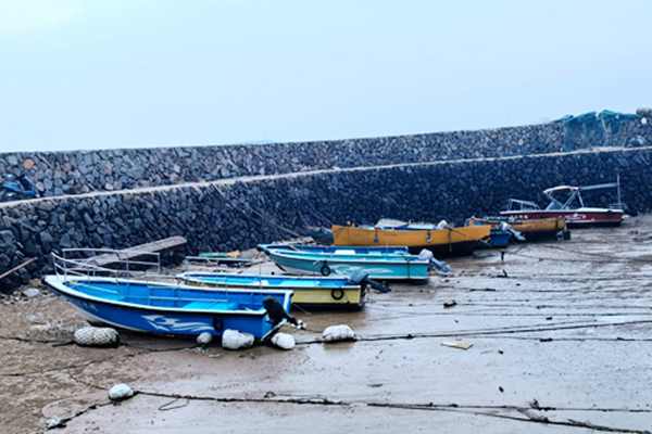 东莞洪梅：联合整治临水装卸作业点非法处置固废行为