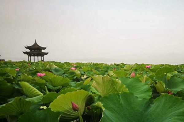 《浙江省打赢蓝天保卫战三年行动计划》废止