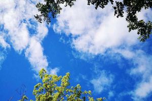 北京：“0.1微克”必争，一座超大城市的精细治气之路