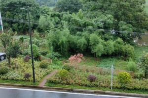 2.61亿！北控城市服务中标南京市高淳区城区环卫保洁和绿化养护一体化项目