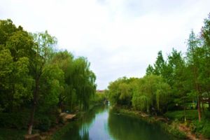 ‌富民县多措并举推动水质持续改善 2025年水环境治理成效显著