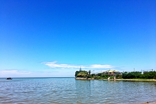 《海洋生态保护修复资金管理办法》2026年1月1日起施行！