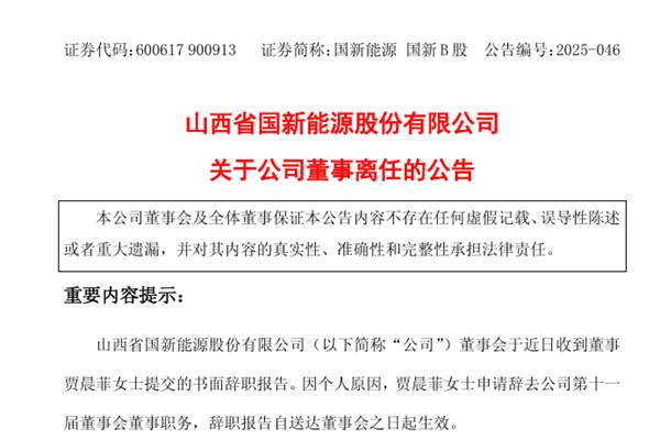 国新能源董事离任