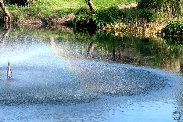 杭州水处理丨好水育好棉！新“膜”法焕发盐碱地新生机