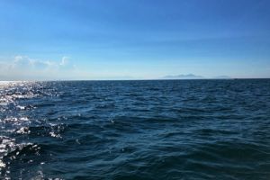 2.73亿湖北襄阳余家湖污水处理厂二期工程EPC评标结果公示