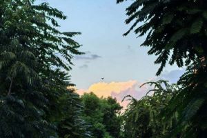 2026湖南省考即将报名！生态环境系统有这些岗位