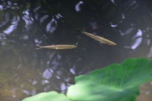 张慧春：AI正在水处理领域掀起一场颠覆性变革