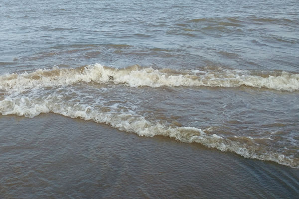 总投资1.97亿！天水市2万m³/d生活污水处理厂建设项目环评公示