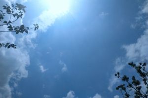 1900万！龙净环保预中标青岛索尔维烟气治理二期项目