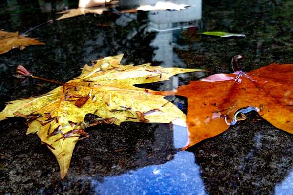 为什么还要制定一部专门的生态环境法典？