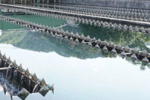 从“纳土归宋”到“纳流入网”，一场守护临安民生的“太平”接力