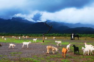 关于修改《最高人民法院、最高人民检察院关于办理环境污染刑事案件适用法律若干问题的解释》的决定