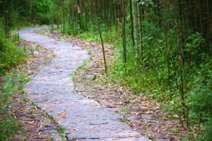 科技赋能监测 智慧守护宁静——湖北省声环境自动监测网络全面建成