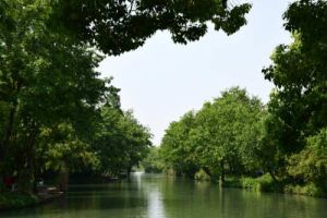 《重庆市生态环境导向开发模式(EOD)项目工作方案》等4个文件印发