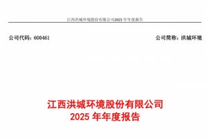 洪城环境：2025年净利润11.93亿元，同比增长0.27%