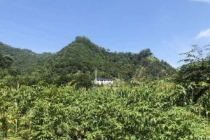 《湖南省工业碳减排标杆企业认定管理办法》印发