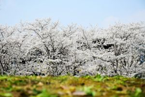 湖北省生态环境厅通知！加强建设用地土壤污染防治联动监管